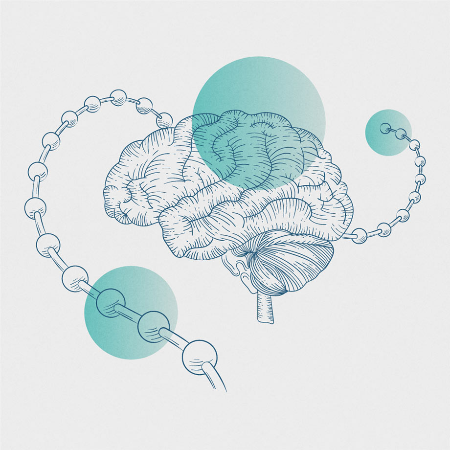 A brain with a peptide wrapping around the back and green circles on both the brain and peptide.