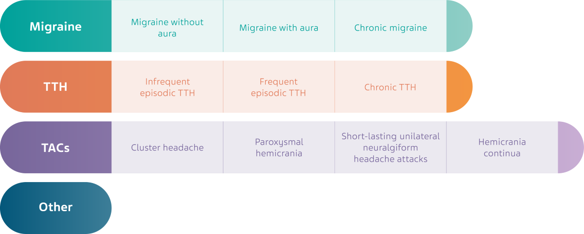 types of M&H primary 1200x481.png